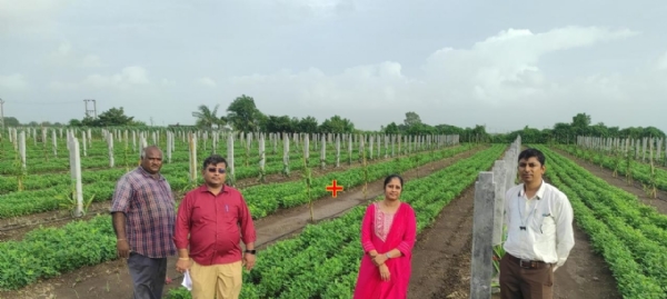 Subsidy was paid to 20 farmers who planted lotus.