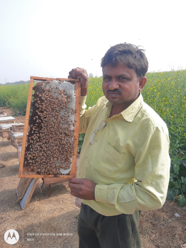 જશુભા વાઘેલાનો પરંપરાગત ખેતીનો સંઘર્ષ અને નવી દિશા