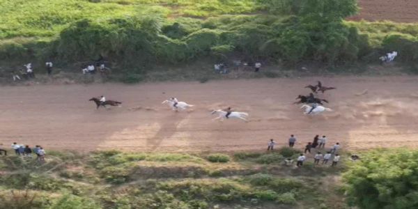મહેસાણા મોઢેરામાં અશ્વદોડ સ્પર્ધા, ગુજરાતભરના 100થી વધુ અશ્વપાલકો ભાગ લેશે, વિજેતાઓને ઇનામ વિતરણ