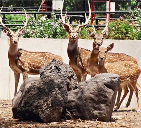 સુરતમાં નેચર પાર્ક
