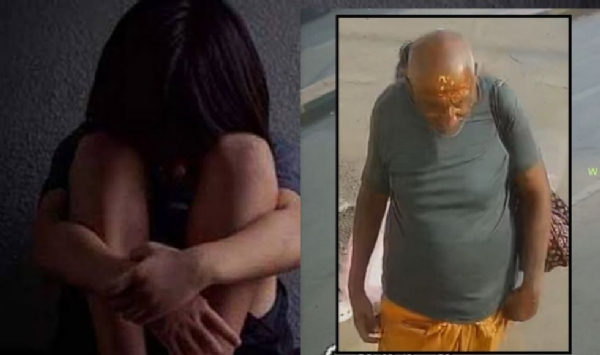 બિભત્સ હરકત