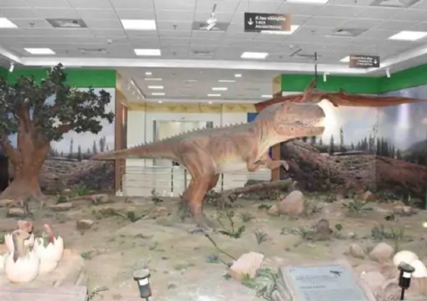 પાટણમાં ડાયનાસોર ગેલેરી અને સાયન્સ મ્યુઝિયમ પ્રવાસીઓનું નવું આકર્ષણ, 30 હજારથી વધુ પ્રવાસીઓએ મુલાકાત લીધી