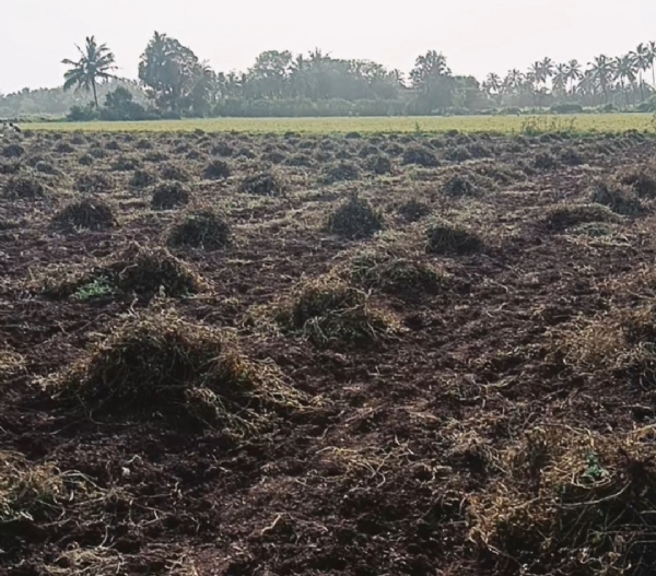 જૂનાગઢ અને ગીર-સોમનાથ જૂનાગઢ અને ગીર-સોમનાથ