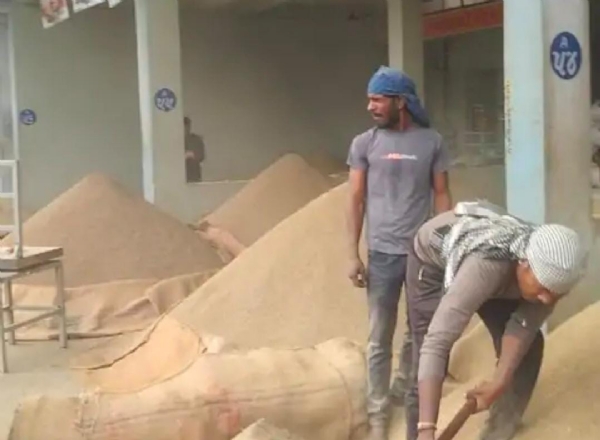 દિવાળીના મીની વેકેશન બાદ ઊંઝા એપીએમસી ફરી ધમધમી — શુભ મુહૂર્તે વેપારનો શ્રીગણેશ