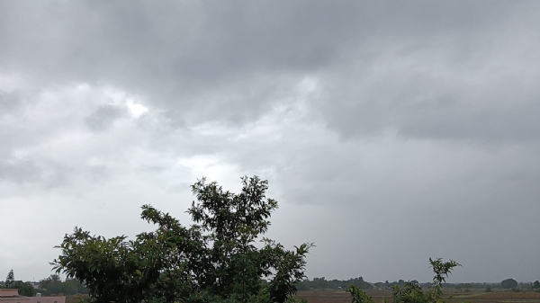 પોરબંદર જિલ્લામાં સાર્વત્રિક વરસાદી ઝાપટા: જગતના તાતા પર સંકટના વાદળો. પોરબંદર જિલ્લામાં સાર્વત્રિક વરસાદી ઝાપટા: જગતના તાતા પર સંકટના વાદળો.