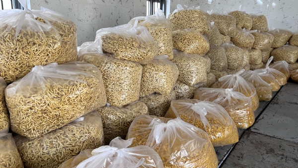 પોરબંદરમાં જલારામ જયંતીની ઉજવણીની તડામાર તૈયારીઓ શરૂ. પોરબંદરમાં જલારામ જયંતીની ઉજવણીની તડામાર તૈયારીઓ શરૂ.