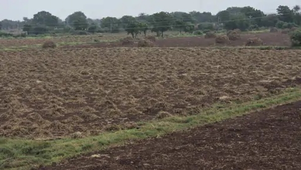 કમસોમી વરસાદ