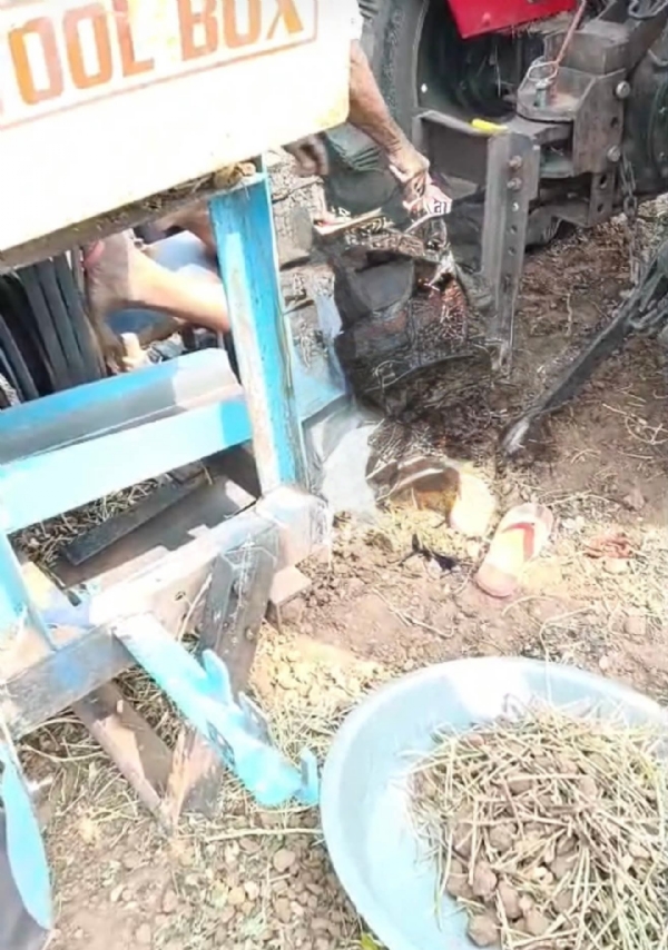 વિજાપુરના મોતીપુરા નજીક ખેતરમાં કરુણ દુર્ઘટના — થ્રેસરમાં ખેંચાઈ જતાં મહિલાનું મોત વિજાપુરના મોતીપુરા નજીક ખેતરમાં કરુણ દુર્ઘટના — થ્રેસરમાં ખેંચાઈ જતાં મહિલાનું મોત