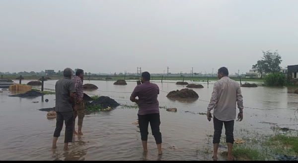 ગીર સોમનાથ જિલ્લા માં ભારે વરસાદથી ગીર સોમનાથ જિલ્લા માં ભારે વરસાદથી