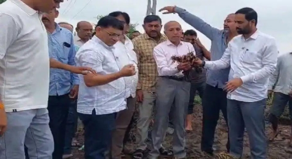 કમોસમી વરસાદથી પાકને ભારે નુકસાન — મંત્રી કૌશિક વેકરિયા દ્વારા અમરેલી જિલ્લાના અસરગ્રસ્ત વિસ્તારોની મુલાકાત, ખેડૂતોને મળી સહાયની ખાતરી