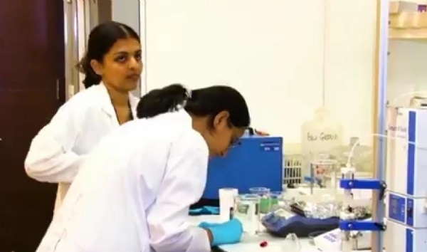 IIT ગાંધીનગરનું અનોખું સંશોધનઃ કેળાની છાલ બનશે જમીન માટે જૈવિક પોષણ અને પાકને ટકાઉ બનાવવાનું સાધન IIT ગાંધીનગરનું અનોખું સંશોધનઃ કેળાની છાલ બનશે જમીન માટે જૈવિક પોષણ અને પાકને ટકાઉ બનાવવાનું સાધન