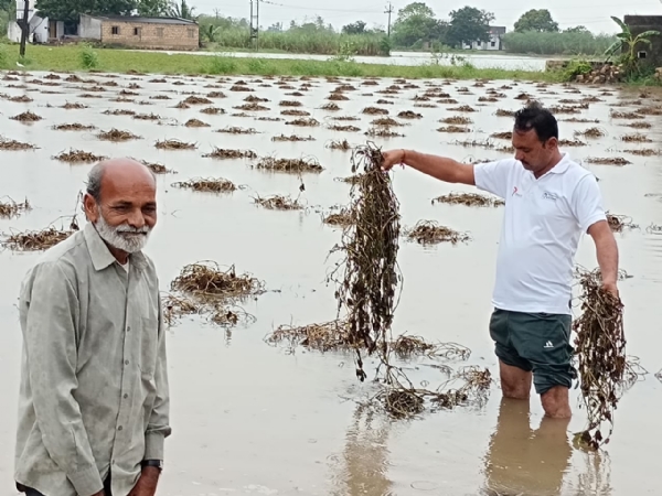 Gir Somnath jilana kodinar na Gir Somnath jilana kodinar na
