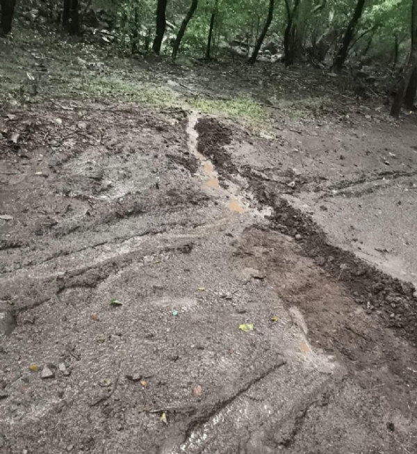 પરિક્રમા અન્નક્ષેત્રો માટે અગત્યની અપીલ