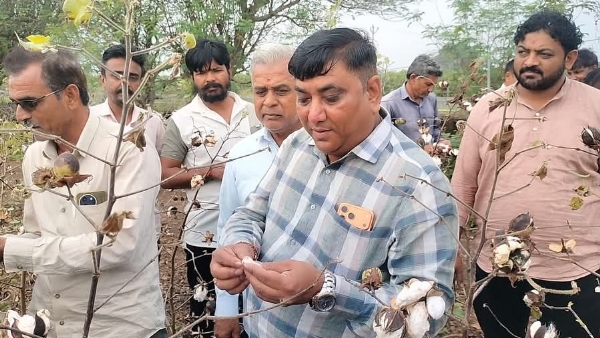 લાઠી તાલુકામાં કમોસમી વરસાદે કાળો કેર: કપાસ, મગફળી અને ડુંગળીના પાકને ભારે નુકસાન — ઘારાસભ્ય જનકભાઇ તળાવીયા ખેડૂતોએ આપ્યું વળતરની આશ્વાસન લાઠી તાલુકામાં કમોસમી વરસાદે કાળો કેર: કપાસ, મગફળી અને ડુંગળીના પાકને ભારે નુકસાન — ઘારાસભ્ય જનકભાઇ તળાવીયા ખેડૂતોએ આપ્યું વળતરની આશ્વાસન