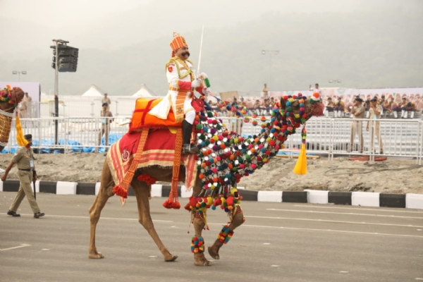 જોધપુરથી બાવન ઊંટ સાથે આવેલી બીએસએફની બે ટુકડી ભાગ લેશે