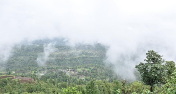 અમરેલી સહિત ગુજરાતમાં અતિભારે વરસાદની આગાહી, આરબી સમુદ્રમાં ડિપ્રેશન સક્રિય અમરેલી સહિત ગુજરાતમાં અતિભારે વરસાદની આગાહી, આરબી સમુદ્રમાં ડિપ્રેશન સક્રિય