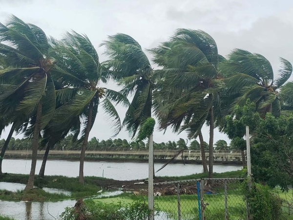 મોન્થા અસર... તેલંગાણાના 16 જિલ્લાઓમાં અચાનક પૂરનો ભય,દક્ષિણ મધ્ય રેલ્વેની 127 ટ્રેનો અસ્થાયી રૂપે રદ મોન્થા અસર... તેલંગાણાના 16 જિલ્લાઓમાં અચાનક પૂરનો ભય,દક્ષિણ મધ્ય રેલ્વેની 127 ટ્રેનો અસ્થાયી રૂપે રદ