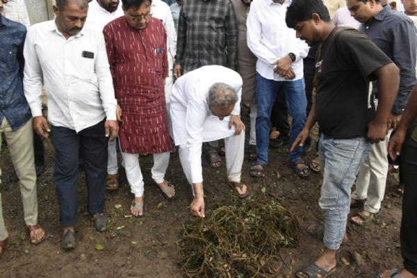 મંત્રીઓ: ખેતરોમાં જઈને ખેડૂતોને રૂબરૂ મળ્યા મંત્રીઓ: ખેતરોમાં જઈને ખેડૂતોને રૂબરૂ મળ્યા