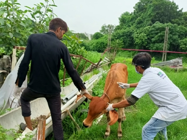 અબોલ જીવોને જીવનદાન મળ્યુ