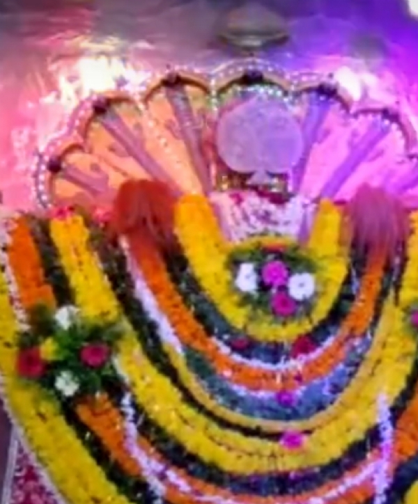 પાટણમાં પદ્મનાભજીનો સપ્ત રાત્રી રેવડીયા મેળો 3 નવેમ્બરથી શરૂ, આ મેળાનો પ્રારંભ પ્રવીણભાઈ માળીના હસ્તે કરવામાં આવશે.