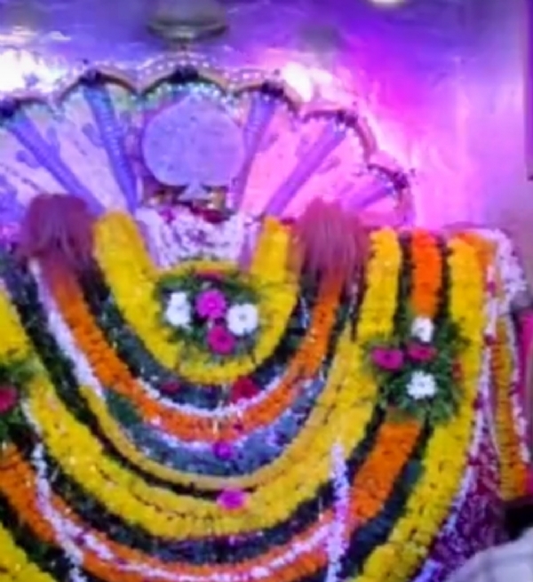 પાટણ પદ્મનાથ ભગવાનના મેળામાં 123 સ્ટોલની હરાજી, ભાવમાં 10% વધારો પાટણ પદ્મનાથ ભગવાનના મેળામાં 123 સ્ટોલની હરાજી, ભાવમાં 10% વધારો