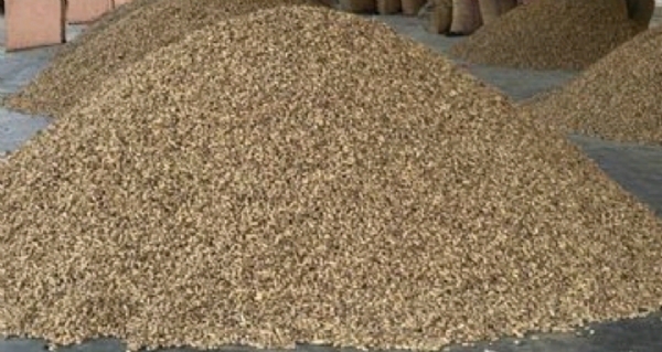 પાટણ માર્કેટયાર્ડમાં ખેતપેદાશોની ખરીદીનો પ્રારંભ પાટણ માર્કેટયાર્ડમાં ખેતપેદાશોની ખરીદીનો પ્રારંભ