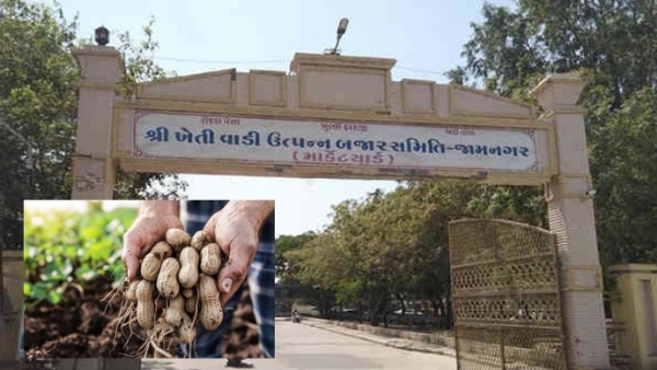 હાપા માર્કેટિંગ યાર્ડ