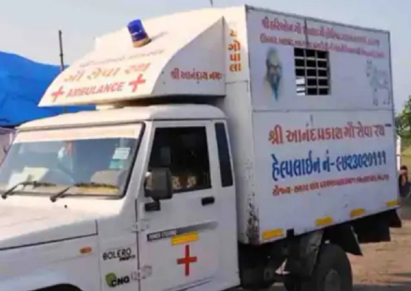 અણહિલવાડ ગૌ ભક્તિ મહોત્સવમાં ગૌ ભાગવત કથાના પ્રચાર માટે ભવ્ય ગૌ રથયાત્રાનું આયોજન