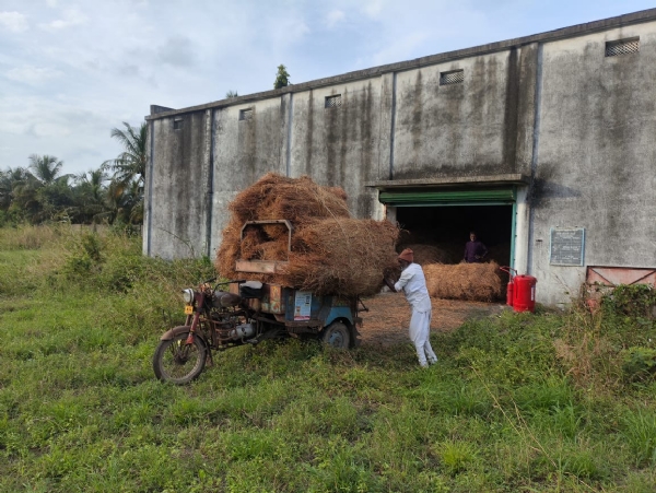 કમોસમી વરસાદના પગલે કમોસમી વરસાદના પગલે