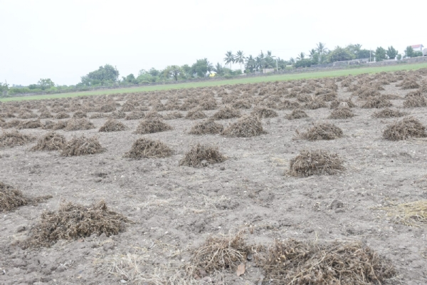 પોરબંદર જિલ્લામાં કમોસમી વરસાદના પગલે ઉભી થયેલી પરિસ્થિતિ અંગે અસરગ્રસ્ત ગામોની મુલાકાત કરતાં કેબિનેટ મંત્રી  અર્જુન મોઢવાડિયા.