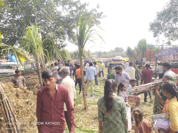 સિધ્ધપુરના કાર્તિકી પૂર્ણિમાના મેળામાં શેરડીનું આગવું મહત્વ