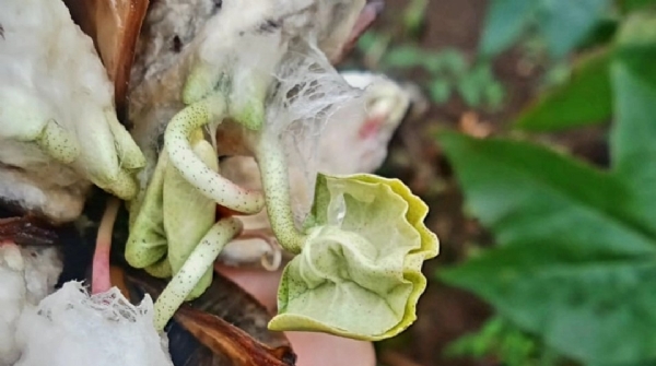 ખેતી બચાવો સત્યાગ્રહ : પરેશ ધાનાણીનું સરકાર વિરુદ્ધ આક્રમક ટ્વીટ ખેતી બચાવો સત્યાગ્રહ : પરેશ ધાનાણીનું સરકાર વિરુદ્ધ આક્રમક ટ્વીટ