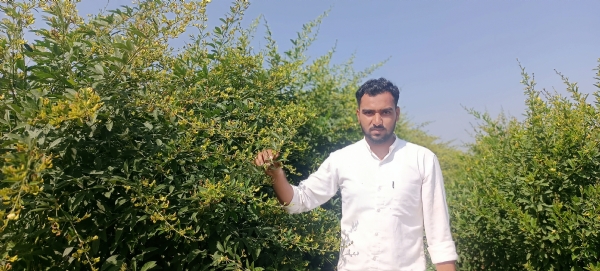 ચંદ્રોડા બન્યું “તુવેર ગામ” — ઓછી મહેનત, ઓછો ખર્ચ અને વધારે નફાનો પાક