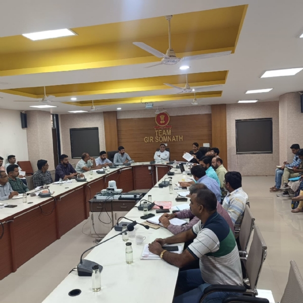 કલેક્ટર  એન.વી.ઉપાધ્યાયના અધ્યક્ષસ્થાને