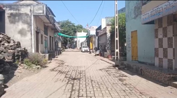 મંડેર ગામે હડકાયા શ્વાનનો આતંક.