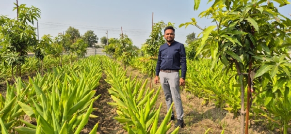 એન્જિનિયર પુત્ર અને પિતાની ગાય આધારિત પ્રાકૃતિક ખેતી — સાંપાવાડા ગામમાં નવો પ્રયોગ, નવી પ્રેરણા