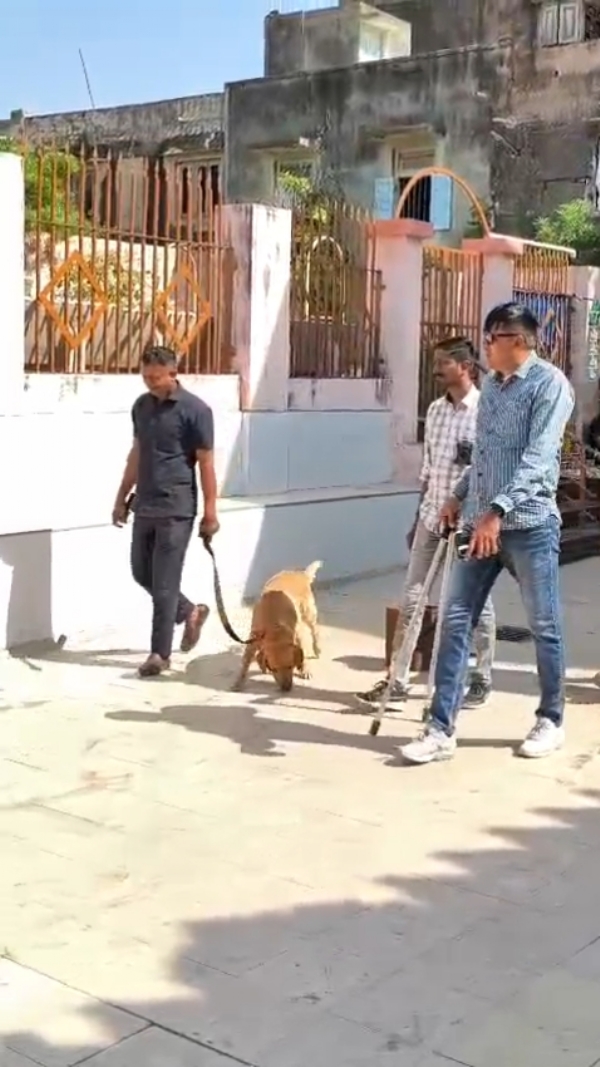 દિલ્હી બ્લાસ્ટના બીજા દિવસે પણ પોરબંદર પોલીસ સતર્ક. દિલ્હી બ્લાસ્ટના બીજા દિવસે પણ પોરબંદર પોલીસ સતર્ક.