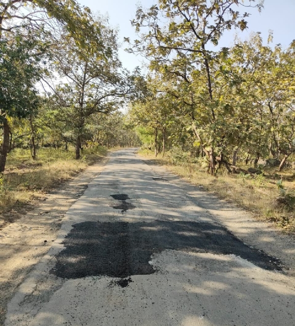 બામણાસા થી જામવાળા