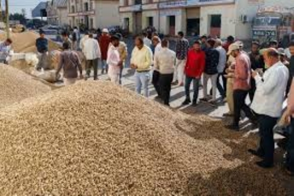 94 lakh kg of groundnuts purchased at support price in Rajkot district 94 lakh kg of groundnuts purchased at support price in Rajkot district