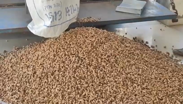 Danta taluka ma magafali ni aavak ghati Danta taluka ma magafali ni aavak ghati