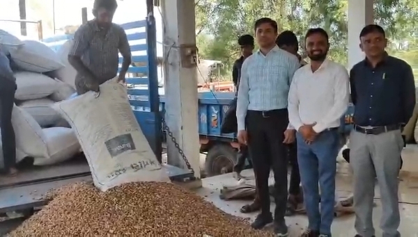 Danta taluka ma magafali ni aavak ghati Danta taluka ma magafali ni aavak ghati