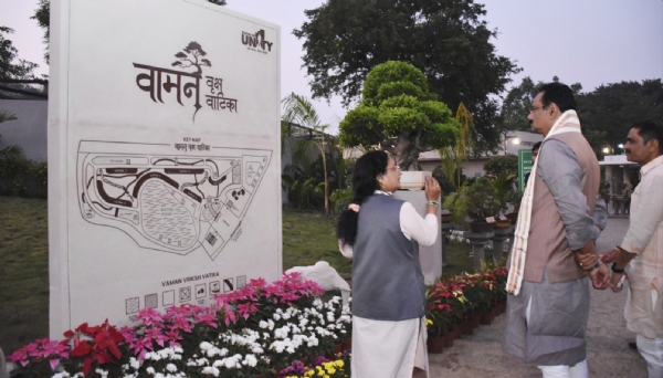 કૃષિ મંત્રી જીતુ વાઘાણીએ વામન વૃક્ષ વાટિકાની મુલાકાત કરી કૃષિ મંત્રી જીતુ વાઘાણીએ વામન વૃક્ષ વાટિકાની મુલાકાત કરી