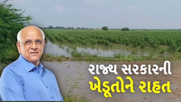 કૃષિ રાહત પેકેજ