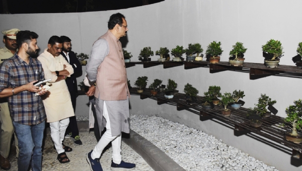 કૃષિ મંત્રી જીતુ વાઘાણીએ વામન વૃક્ષ વાટિકાની મુલાકાત કરી કૃષિ મંત્રી જીતુ વાઘાણીએ વામન વૃક્ષ વાટિકાની મુલાકાત કરી