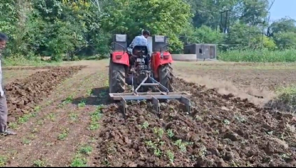 જિલ્લામાં કમોસમી વરસાદ થી જિલ્લામાં કમોસમી વરસાદ થી