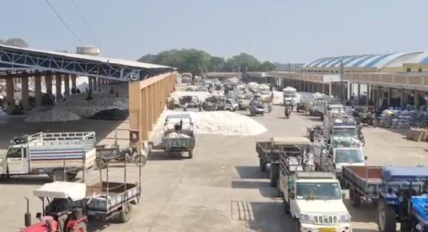 બાબરા માર્કેટિંગ યાર્ડમાં કપાસની ધમધમતી આવક: 18 હજાર મણની એન્ટ્રીથી યાર્ડ છલકાયો, ખેડૂતોમાં ખુશીનો માહોલ બાબરા માર્કેટિંગ યાર્ડમાં કપાસની ધમધમતી આવક: 18 હજાર મણની એન્ટ્રીથી યાર્ડ છલકાયો, ખેડૂતોમાં ખુશીનો માહોલ