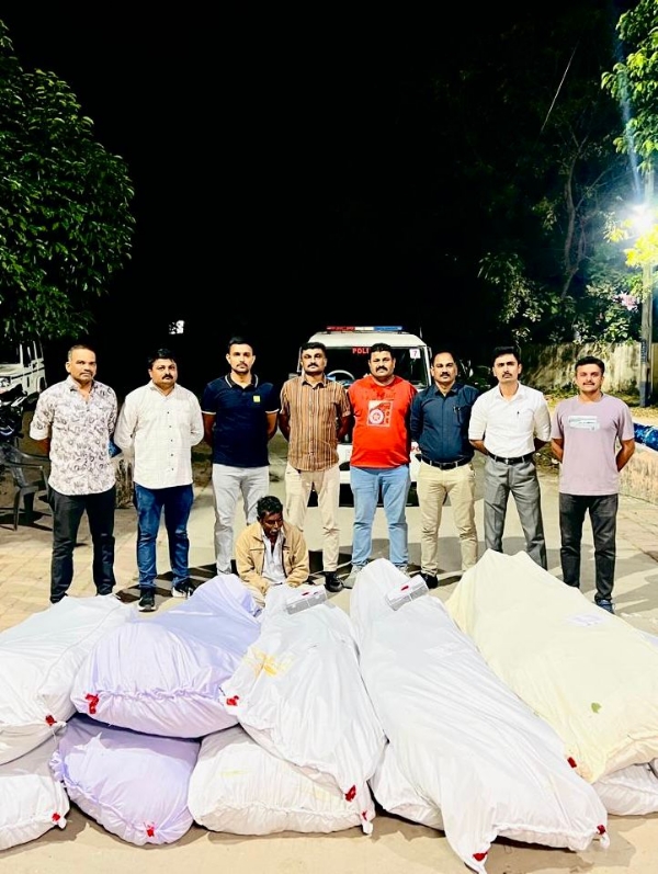 લાઠી પંથકમાં SOGની ધમાકેદાર કાર્યવાહી: 77.93 લાખનો લીલો ગાંજો ઝડપાયો, એક આરોપી ઝડપી લાઠી પંથકમાં SOGની ધમાકેદાર કાર્યવાહી: 77.93 લાખનો લીલો ગાંજો ઝડપાયો, એક આરોપી ઝડપી