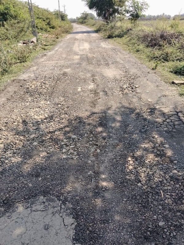 વરસાદી નુકસાન બાદ પોરબંદરમાં માર્ગોને ઝડપથી સુધારવાની કામગીરી તેજગતિએ . વરસાદી નુકસાન બાદ પોરબંદરમાં માર્ગોને ઝડપથી સુધારવાની કામગીરી તેજગતિએ .