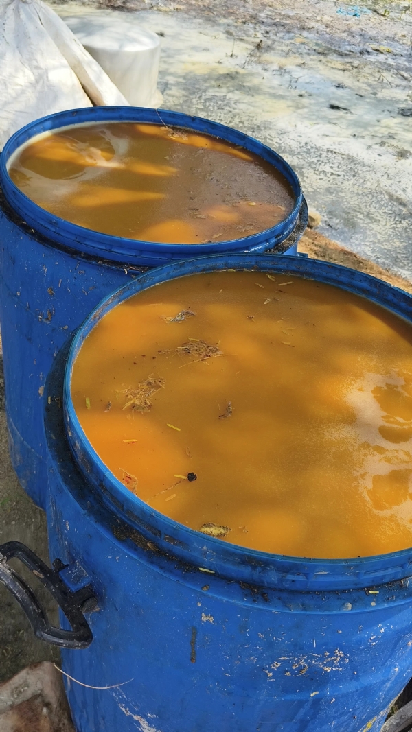 બરડા સાગર ડેમ નજીકથી દેશી દારૂની ભઠ્ઠી ઝડપાઇ. બરડા સાગર ડેમ નજીકથી દેશી દારૂની ભઠ્ઠી ઝડપાઇ.