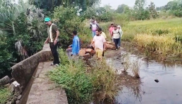 ભરૂચમાં નુકસાનીની સહાય માટે ખેડૂતો કૃષિ રાહત પેકેજ-KRP પોર્ટલ પર ફોર્મ ભરી રહ્યા છે